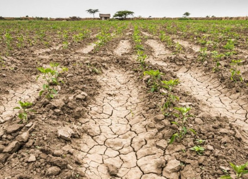 La Municipalidad le pidió a la Provincia que prorrogue la emergencia agropecuaria