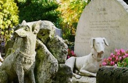 El cementerio de animales podría concretarse el próximo año