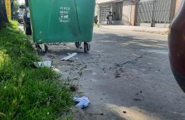 No hay servicio de barrido y limpieza en la zona centro