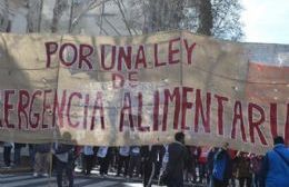 Denuncian que el Ejecutivo "niega la emergencia alimentaria"