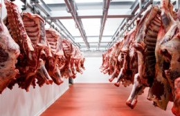 Suspensión de las exportaciones de carne: rechazo de la Federación Agraria local