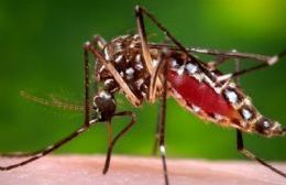 Personal de Saneamiento Ambiental participó de la capacitación sobre de zika, dengue y chikungunya