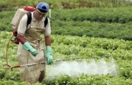 Fumigaciones con agrotóxicos: procesan a tres productores rurales