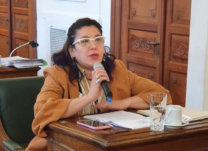 Leticia Conti defendió el proyecto presentado por sus compañeros y criticó la página del HCD para ver las ordenanzas vigentes.