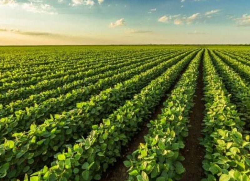 Polémica por los agroquímicos.