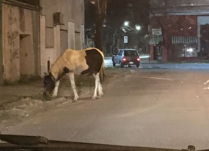 Una postal que se ve también en la zona céntrica.