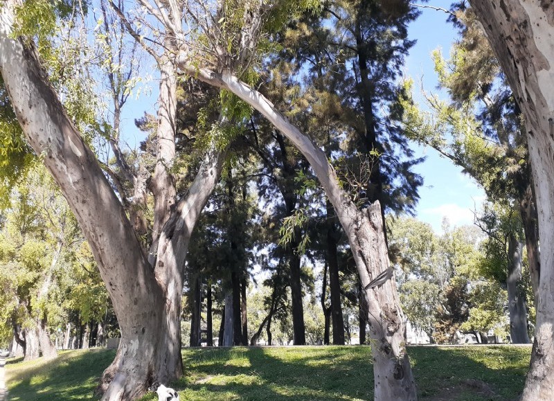 Degradación en el terraplén.