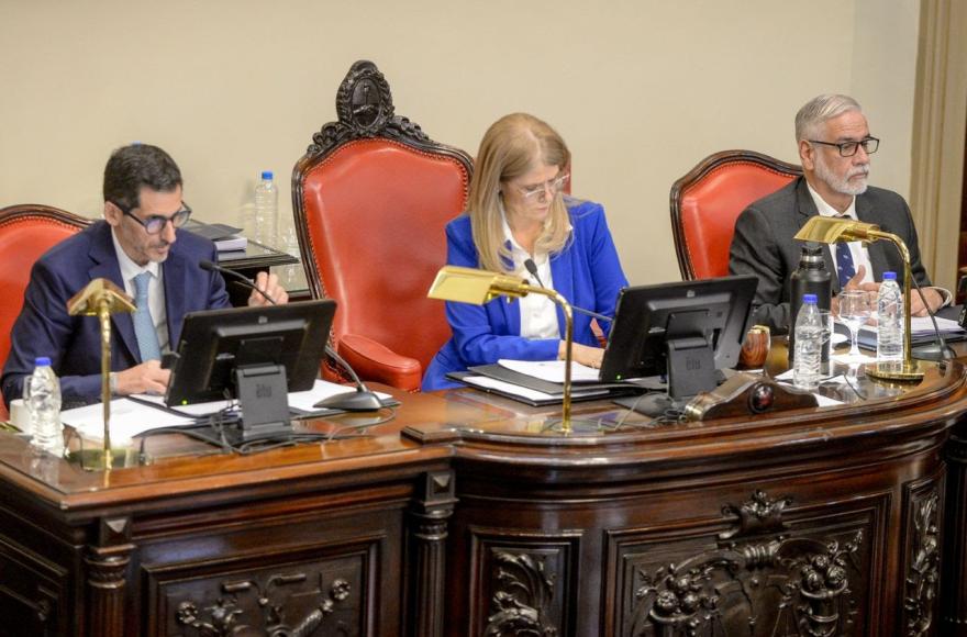 El Cuerpo que conduce la vicegobernadora Verónica Magario eligió a los representantes en el órgano judicial.