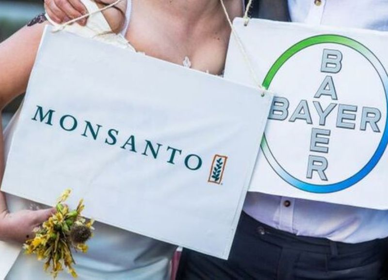 Monsanto se vanagloria del aumento de ventas d su herbicida con glifosato Roundup en plena oleada de demandas por su efecto cancerígeno