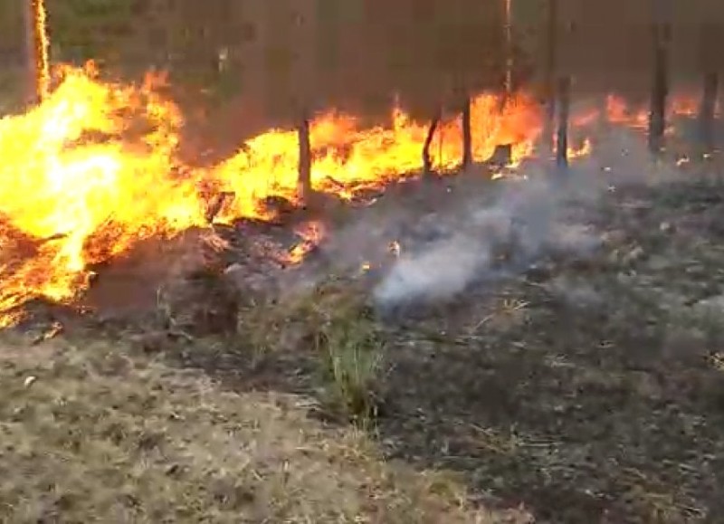 La iniciativa se generó en dos vecinos que decidieron empezar a juntar donaciones por los incendios en corrientes.