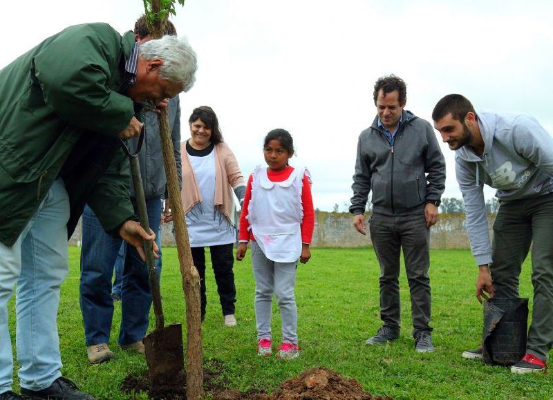 Conciencia ambiental.