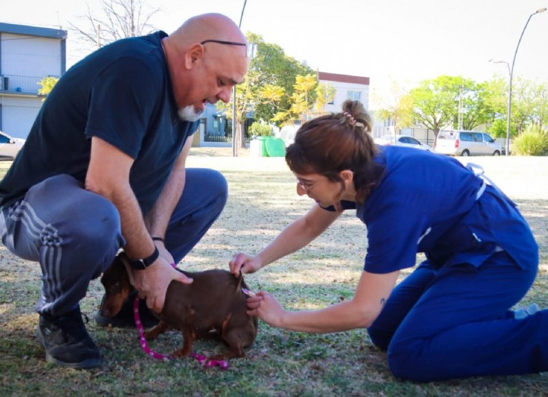 Días atrás se realizó control de foco en el Barrio Acevedo a raíz del murciélago con rabia que fue encontrado en la zona. Dicho operativo se concretó hasta este viernes.