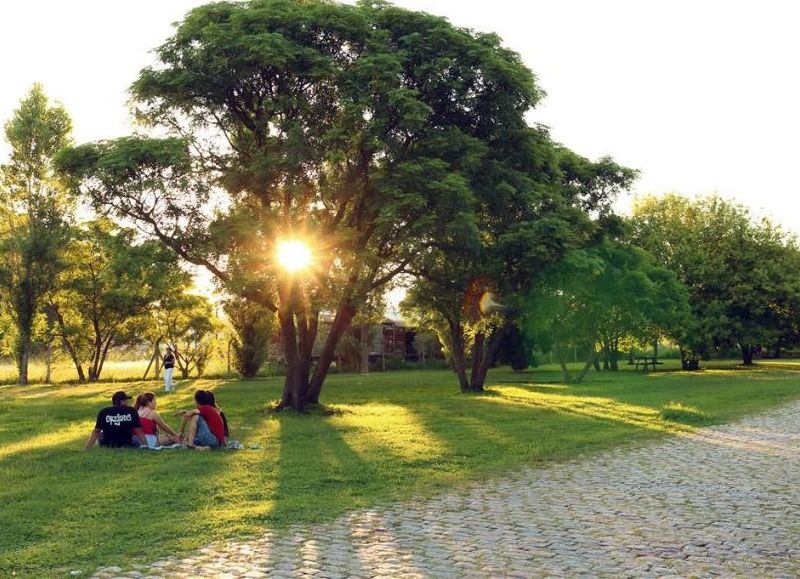 Para disfrutar al aire libre.