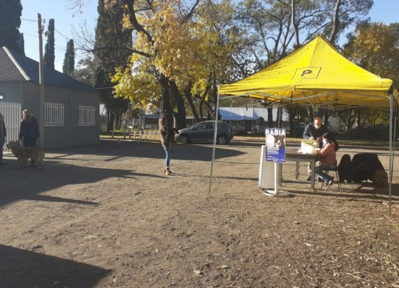 Los puestos estuvieron ubicados en el Parque España y en el Parque Municipal.