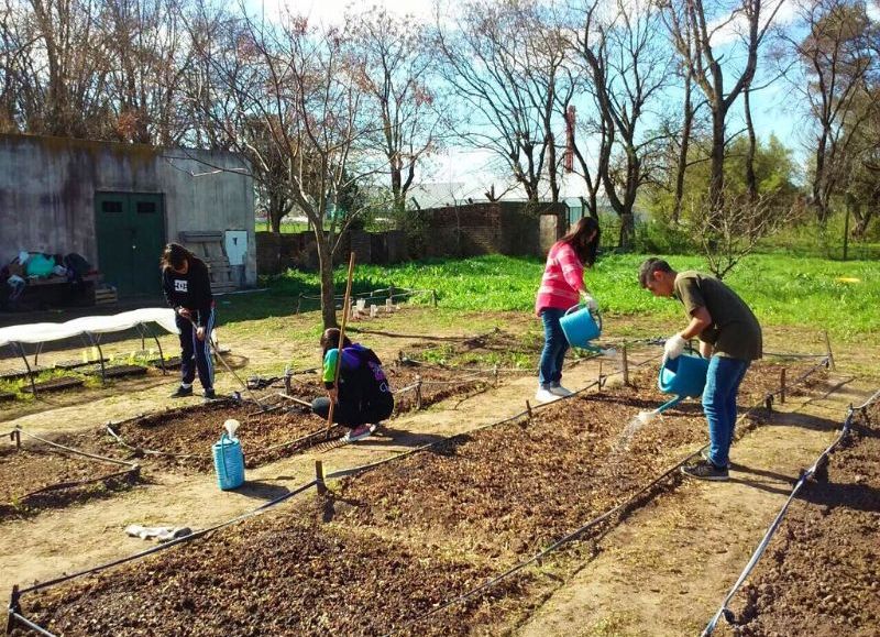 La propuesta persigue el objetivo de realizar una huerta como actividad extra escolar.