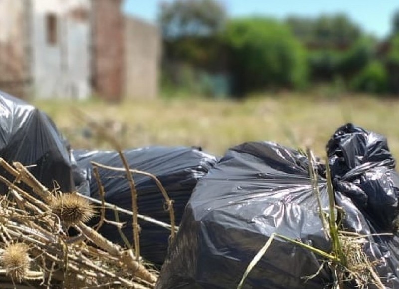 Se solicita no arrojarlos en terrenos baldíos, plazas o parques.