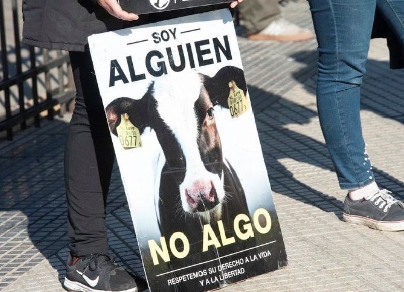 Si bien los manifestantes estuvieron custodiados por la policía, los efectivos no tuvieron que intervenir porque no se registraron incidentes.