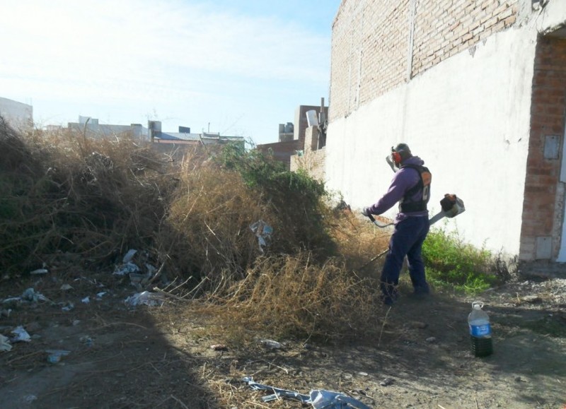 Comenzaron los controles en cada una de las viviendas. 