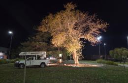 La Municipalidad continúa ampliando y renovando el alumbrado LED en plazas y espacios públicos