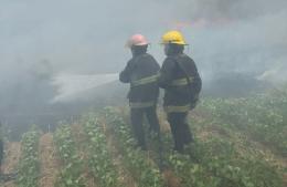 Importante incendio de pastizales demandó horas de trabajo de los bomberos