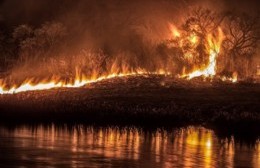 Llegó a la ciudad el humo de los incendios en el Delta del Paraná