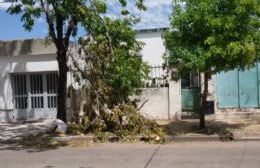 Un 15 % de la población continúa con problemas por el temporal