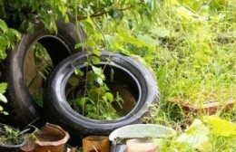 Pergamino se convierte en la ciudad con más casos de chikungunya en toda la provincia