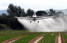 Agroquímicos: "la Corte falló a favor de la salud de las personas"