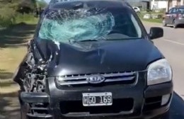 Caballos sueltos: otro accidente en la Ruta 178