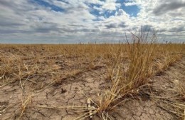 Pergamino no está incluido entre los municipios declarados en emergencia agropecuaria