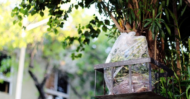 Atención vecinos: Recolección de residuos durante las fiestas