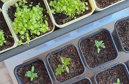 Intercambio sustentable en el Parque España en el Mes del Compostaje