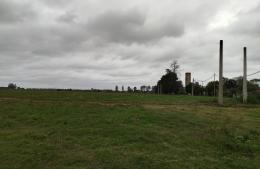 Vecinos de la ex Linotex reclaman por sus terrenos