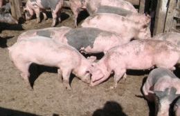 Jornada de producción porcina tendiente a cuidar la salud pública