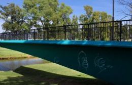 Piden denominar "Pasaje de los Pañuelos de las Madres de Plaza de Mayo" al puente de calle Estrada