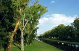 Día Nacional de la Conciencia Ambiental