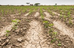 La Municipalidad le pidió a la Provincia que prorrogue la emergencia agropecuaria