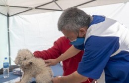 Vacunación antirrábica en el Barrio 512 viviendas