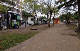 Piden cumplir la ordenanza para los carritos de la plaza