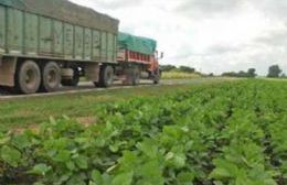 Explotación agrícola de banquinas