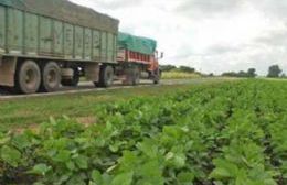 Explotación agrícola de banquinas