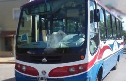 Continúa el paro de colectivos