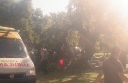 Cayó un árbol en el parque municipal y hay dos pergaminenses internados