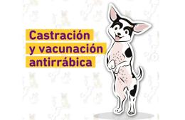 Sigue la castración y vacunacion antirrábica