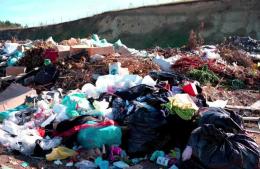 Ahora importaremos basura a Pergamino