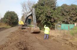 Piden reforestación para calle Mansilla