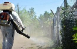 Solicitan informes a la Dirección de Ambiente Rural por el uso de fitosanitarios