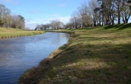 El Concejo gestionó la llegada de una científica del Conicet para saber qué pasa en el arroyo