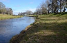 El Concejo gestionó la llegada de una científica del Conicet para saber qué pasa en el arroyo