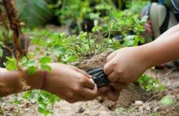 “Despertando Conciencia” en la Semana del Ambiente